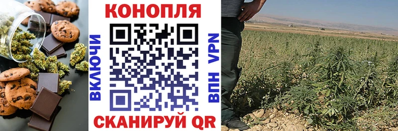 даркнет сайт  Печора  omg как зайти  Еда ТГК конопля 